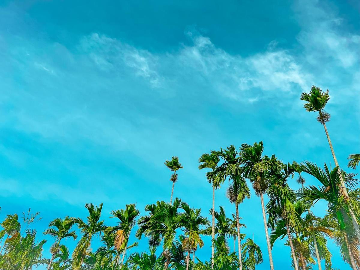 Areca Muine Homestay Phan Thiet Kültér fotó